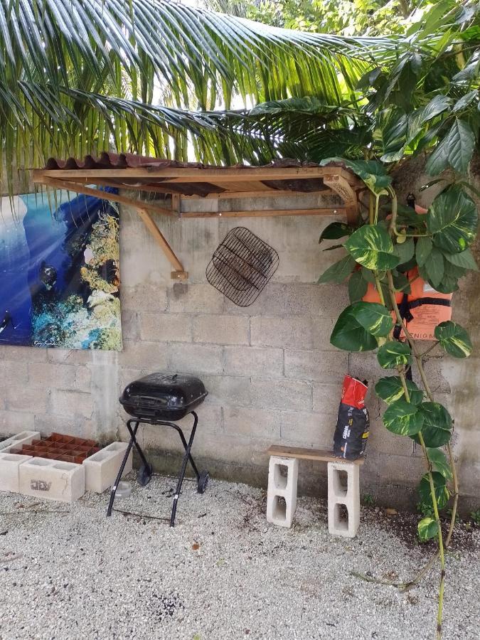 Blue Magic Hostel Cozumel Esterno foto