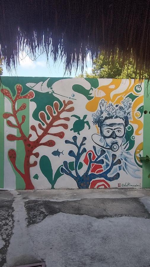 Blue Magic Hostel Cozumel Esterno foto