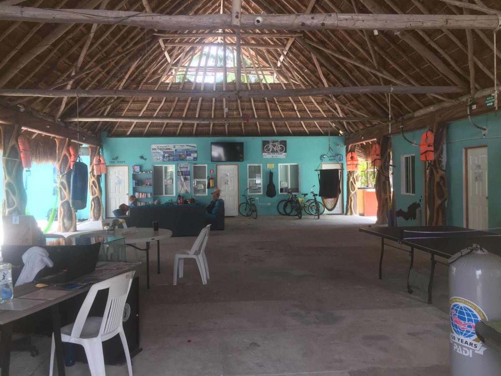 Blue Magic Hostel Cozumel Esterno foto