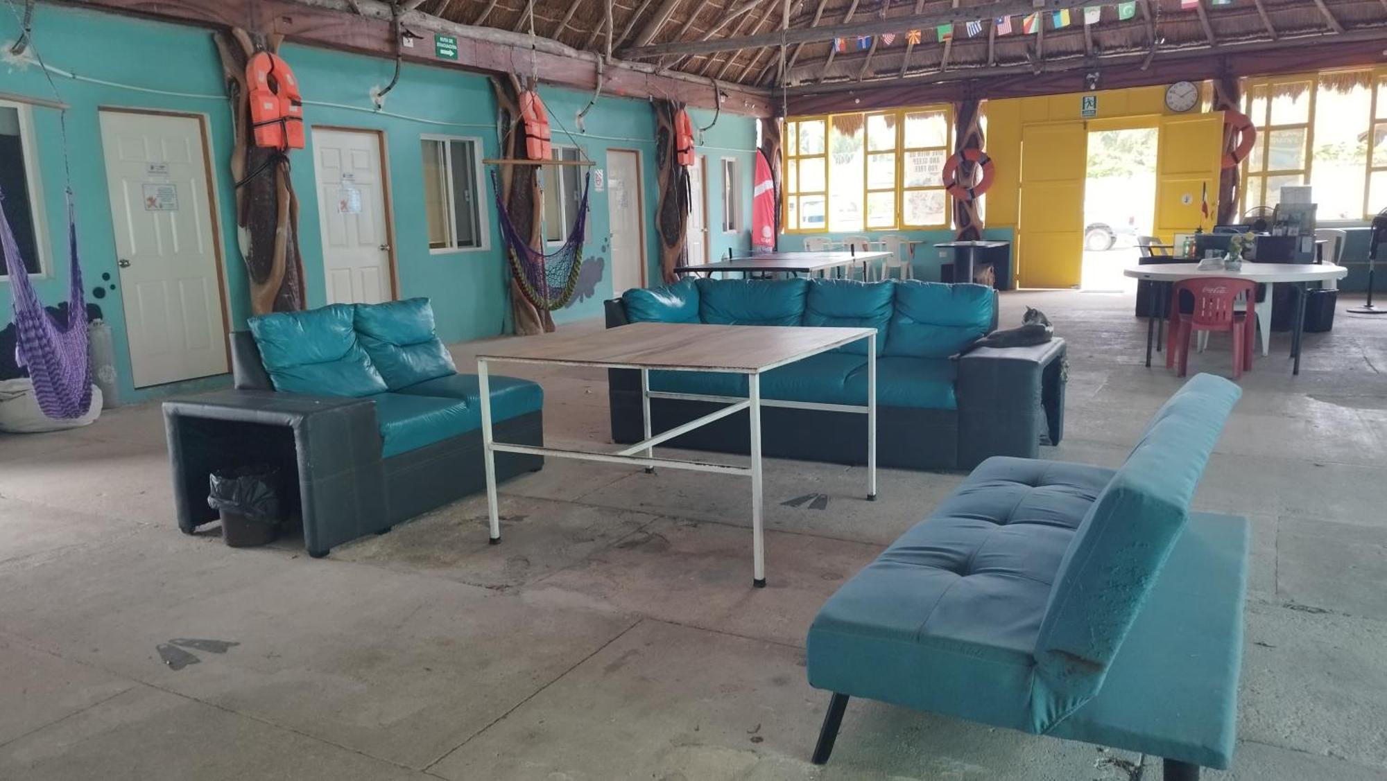 Blue Magic Hostel Cozumel Esterno foto